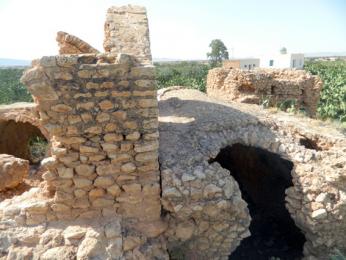 هنشير سيدي عامر1.jpg